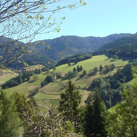 Blackforest