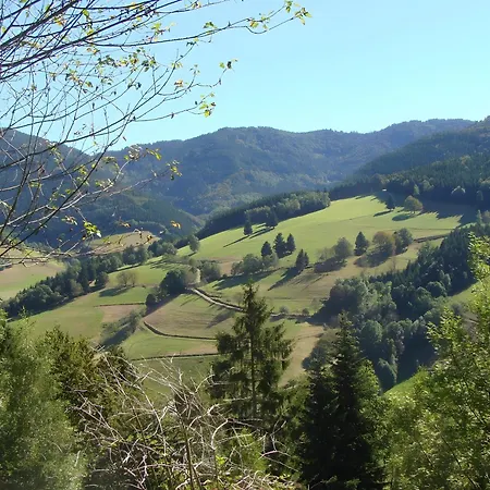 Διαμέρισμα Blackforest *